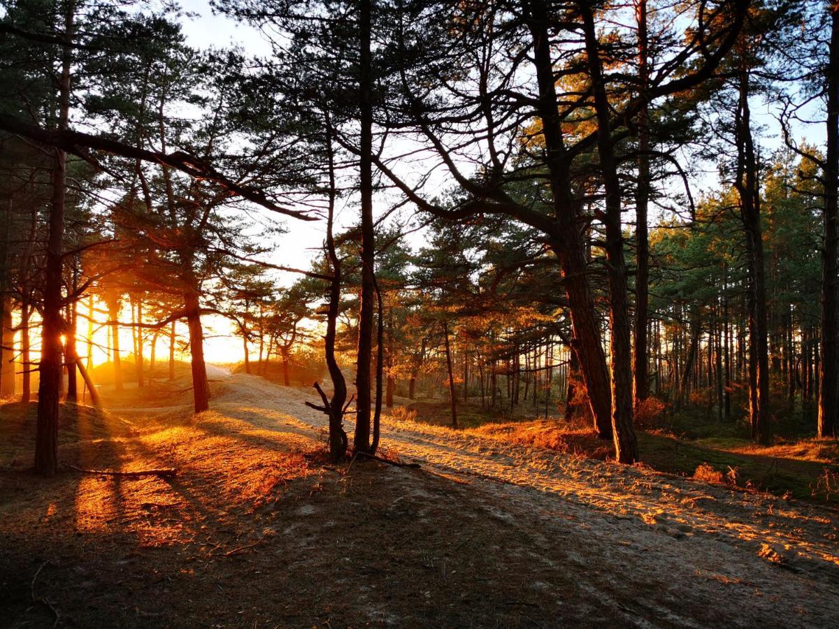 Sunny Pines Apartment Połąga Zewnętrze zdjęcie